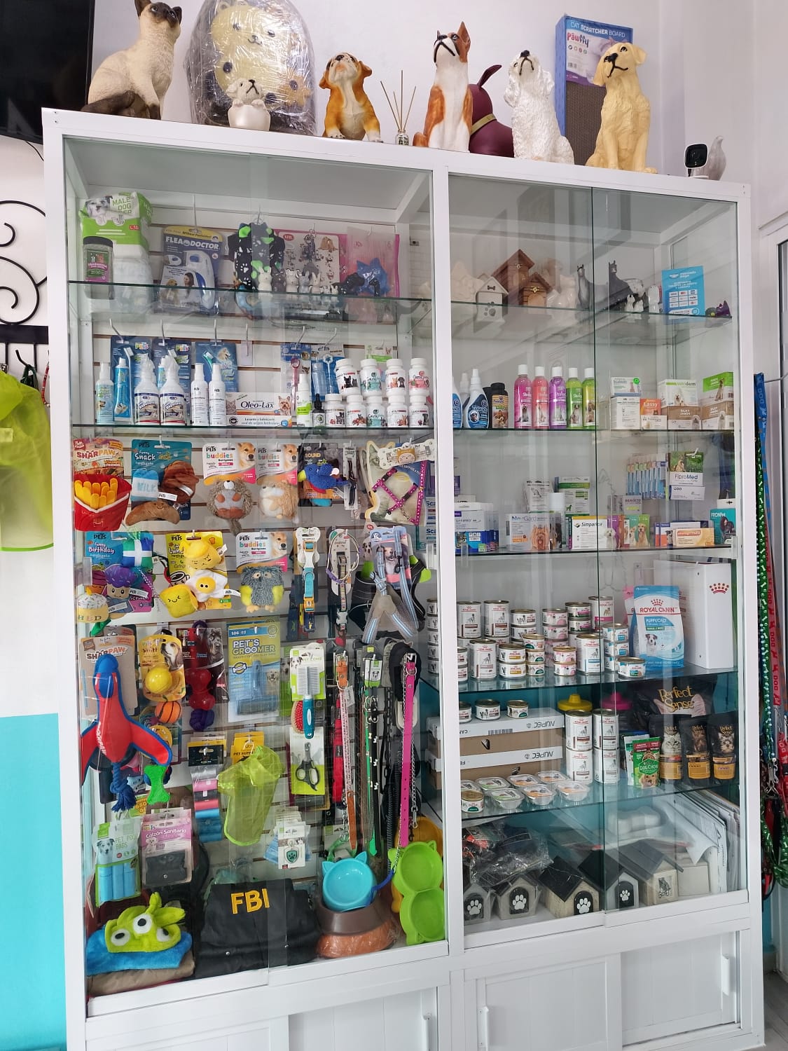 Accesorios para Mascotas